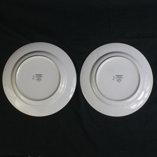 Lot of 2 Vintage Farberware Stoneware Dinner Plates English Garden 225 Kitchen