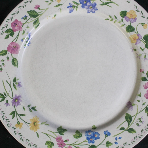 Lot of 2 Vintage Farberware Stoneware Dinner Plates English Garden 225 Kitchen