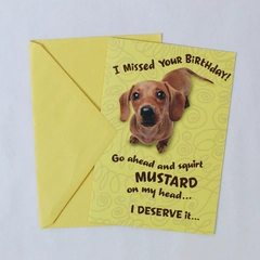 Funny Dachshund Hallmark Birthday Card I Missed Your Birthday Mustard