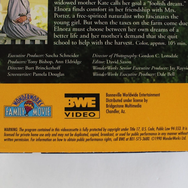 A Girl of The Limberlost VHS Tape Joanna Cassidy 1990 WonderWorks Ltd