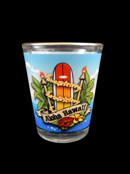 Lot of 2 Hawaii Souvenir Glass Shot Glasses
