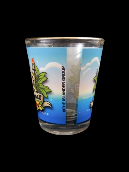 Lot of 2 Hawaii Souvenir Glass Shot Glasses
