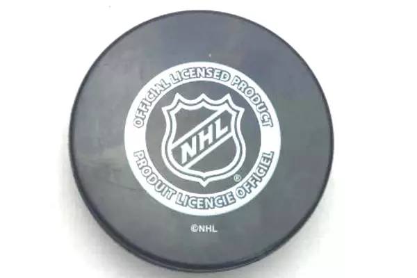 Boston Bruins Hockey Puck NHL Official Licensed Product Souvenir