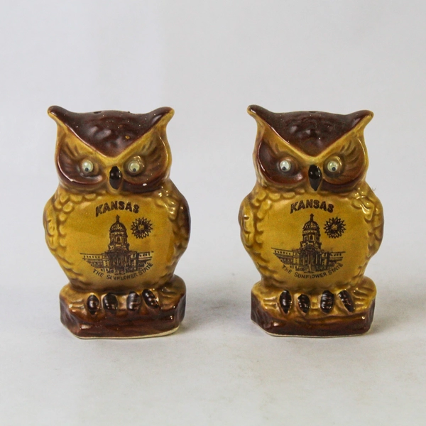Kitsch Vintage Googly Eye Owl Kansas Fountain Souvenir Salt and Pepper Set