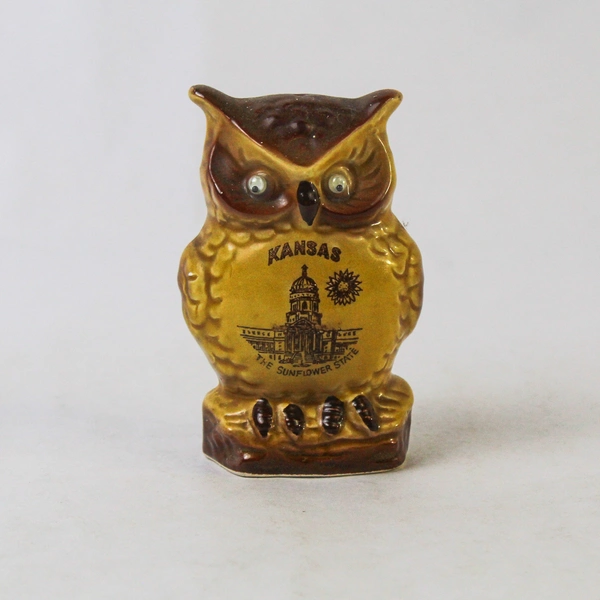 Kitsch Vintage Googly Eye Owl Kansas Fountain Souvenir Salt and Pepper Set