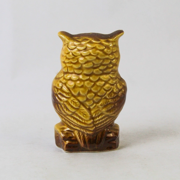 Kitsch Vintage Googly Eye Owl Kansas Fountain Souvenir Salt and Pepper Set