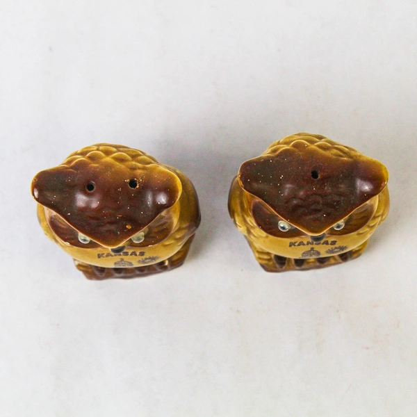 Kitsch Vintage Googly Eye Owl Kansas Fountain Souvenir Salt and Pepper Set