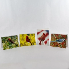 Greeting Cards Lot of 4 Dave Maslowski Bird Theme Cardinal Blank Folded USA 2006