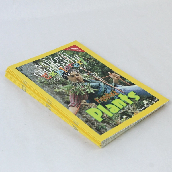 Lot of 12 Piggyback Plants National Geographic Explorer 2013 Pathfinder Edition