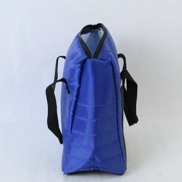 The Blue Buffalo Co Insulated Lunch Bag Blue Black Double Handles Zip Closure