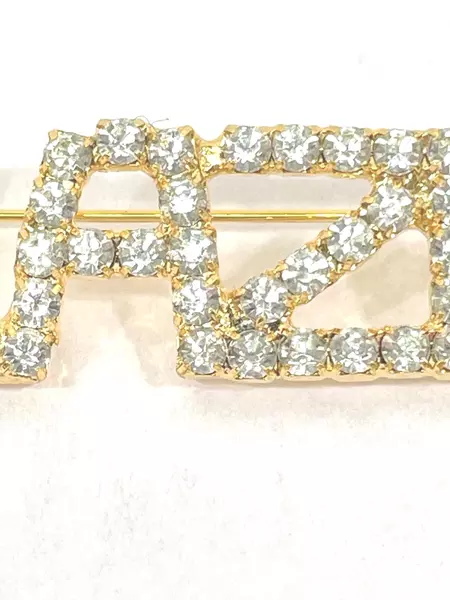 Gold Tone Back Blazers Rhinestone Pin