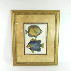 Paragon Picture Gallery Butterfly Fish Framed Art Print 18x12