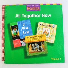 Houghton Mifflin Reading All Together Now Teacher Book Theme 1 Good Condition