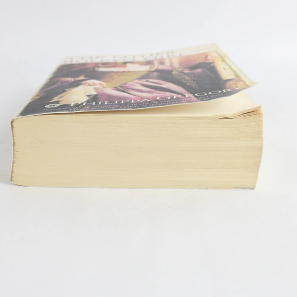 The Other Boleyn Girl A Novel by Philippa Gregory 2003 Touchstone Paperback