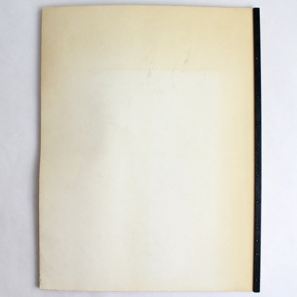 It's A Bummer Vintage Printed Poem Book By Mary S. Bailey 1979