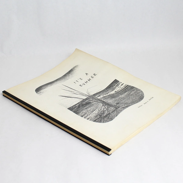 It's A Bummer Vintage Printed Poem Book By Mary S. Bailey 1979