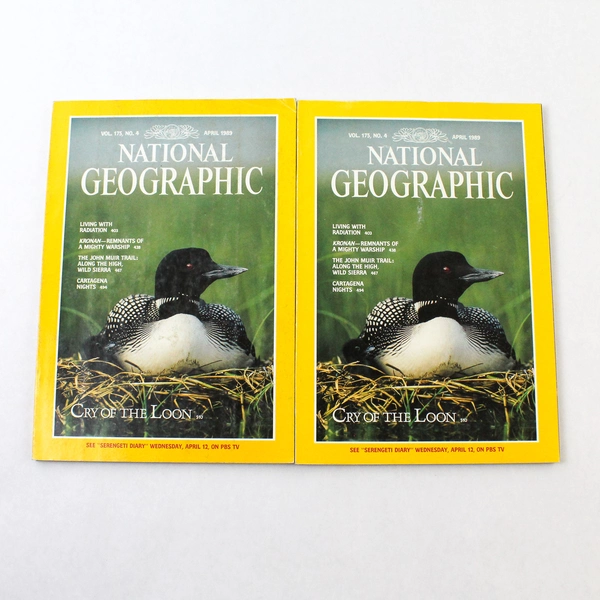 Lot of 2 Vintage National Geographic Magazines April 1989 Edition Duplicates