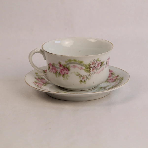 ZS And Co Mignon Bavaria Floral Teacup & Saucer Gold Trim Chip 16