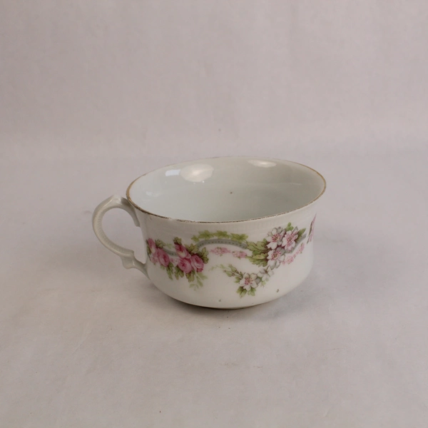 ZS And Co Mignon Bavaria Floral Teacup & Saucer Gold Trim Chip 16