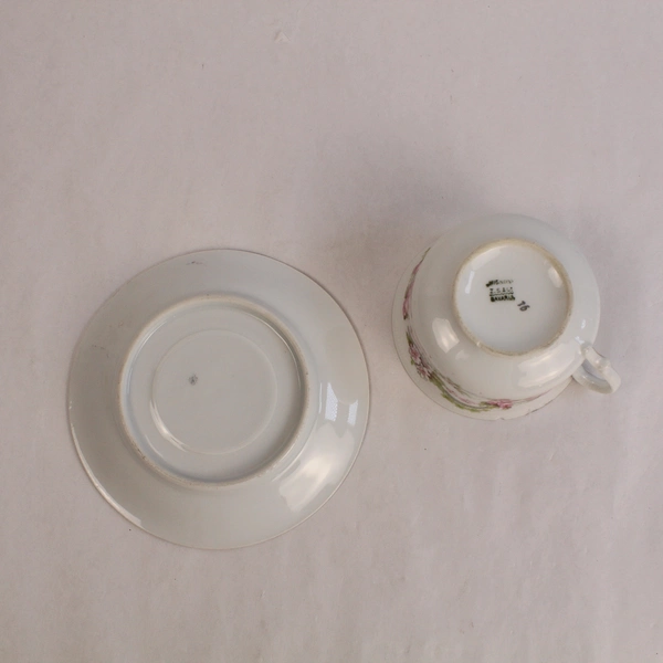 ZS And Co Mignon Bavaria Floral Teacup & Saucer Gold Trim Chip 16