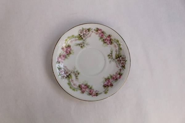 ZS And Co Mignon Bavaria Floral Teacup & Saucer Gold Trim Chip 16