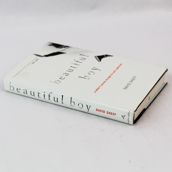 Beautiful Boy by David Sheff 2008 Hardcover
