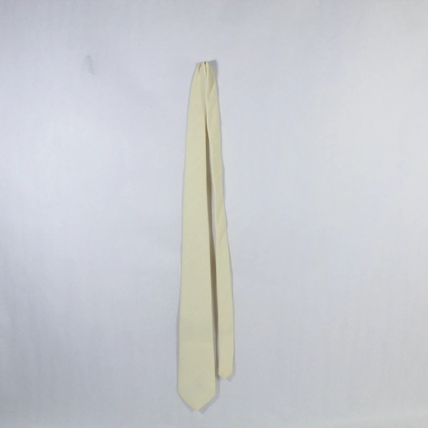 Vintage Claybrooke Meier And Frank Woven Men's Neck Tie Pointed Cream