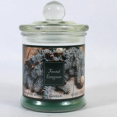 Langley Empire 10 oz Jar Candle Frosted Evergreen Holiday Memories