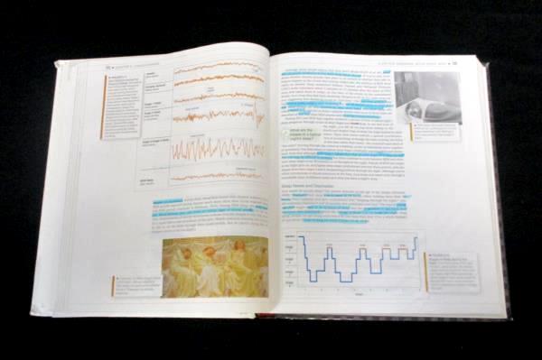 Psychology 2nd Edition Textbook Schacter Gilbert Wegner Worth USED