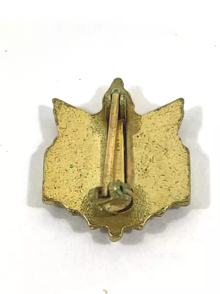 Lot of 2 Vintage Student Council & Government Pins Brass & Sterling Silver