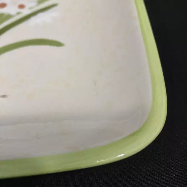 Square Inspirado Stonelite Plate Floral Pattern 10 Inch