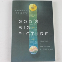 God's Big Picture Tracing the Storyline of the Bible Roberts 2003 Paperback