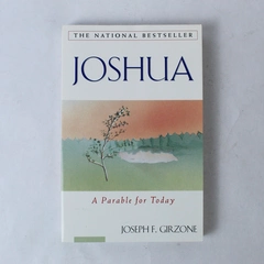 Joshua by Joseph Girzone 1995 Paperback National Bestseller Good Condition