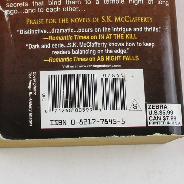 Nothing To Lose by S.K. McClafferty Zebra Romantic Suspense Paperback Book