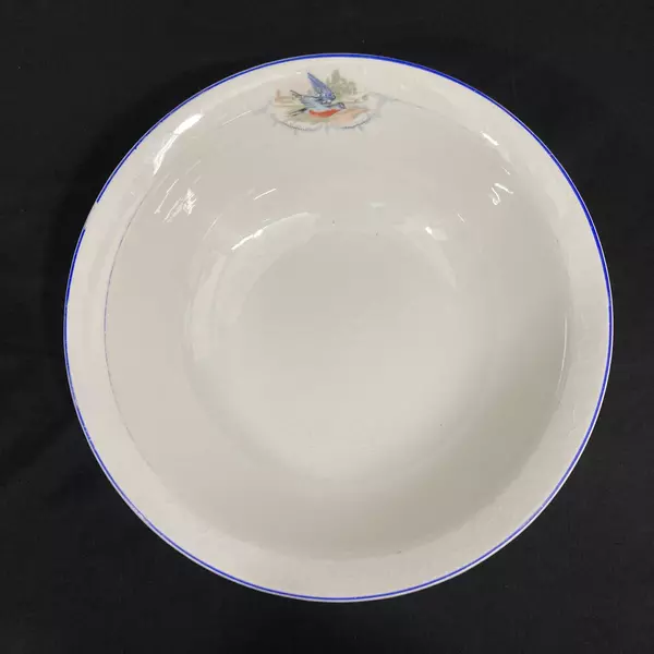 Vintage W.S. George Derwood Bowl 10" Blue Rim Robin Bird Crazing Paint Wear