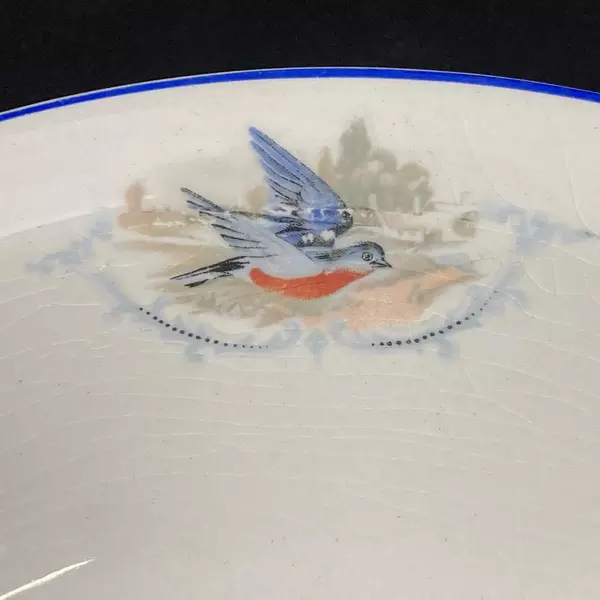 Vintage W.S. George Derwood Bowl 10" Blue Rim Robin Bird Crazing Paint Wear