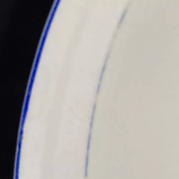 Vintage W.S. George Derwood Bowl 10" Blue Rim Robin Bird Crazing Paint Wear