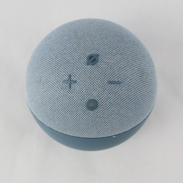 Amazon Alexa Echo Dot 4th Generation Speaker Tested & Working Comes with Charger