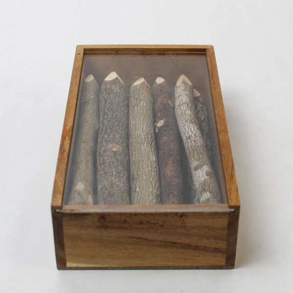 Twig Branch Colored Coloring Pencils New in Box Tamarind Trees Set Of 10