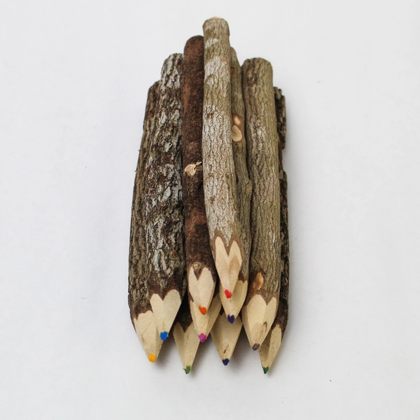 Twig Branch Colored Coloring Pencils New in Box Tamarind Trees Set Of 10