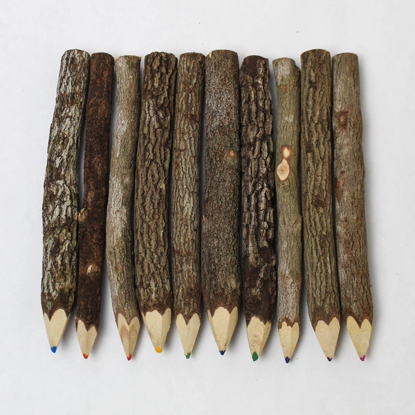 Twig Branch Colored Coloring Pencils New in Box Tamarind Trees Set Of 10