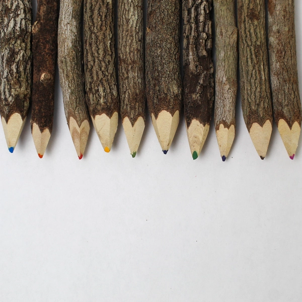 Twig Branch Colored Coloring Pencils New in Box Tamarind Trees Set Of 10