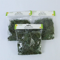 Lot of 3 New Floral Garden Reindeer Moss 24 Cubic Inch Packs for Crafts