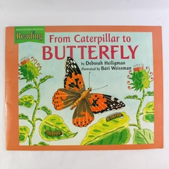 Houghton Mifflin Reading Big Book From Caterpillar To Butterfly Theme 4