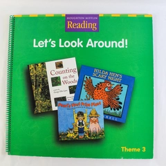 Houghton Mifflin Reading Let's Look Around Theme 3 Teacher Classroom Book
