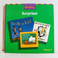 Houghton Mifflin Reading Surprise Theme 2 Big Book Teacher Copy 17"x17"