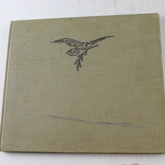 This Is the Way Jessie Orton Jones 1951 Hardcover Viking Press