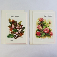 Lot of 2 Vintage AMVETS Floral Birthday Cards Unused Condition