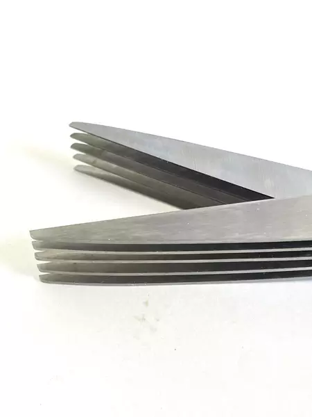 Herb Scissors 5-Blade Kitchen Tool Pre-Owned Onion Cutter