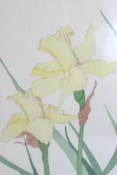 Framed And Matted Daffodil Watercolor Painting Signed NF by Artist Wooden